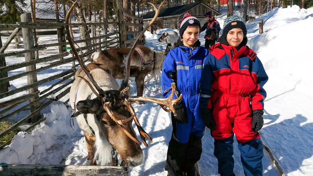 Visit to a reindeer farm